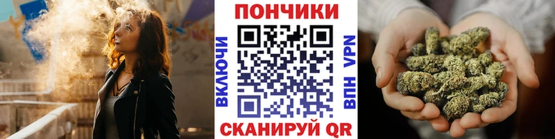 omg вход  Дагестанские Огни  Бошки марихуана Bruce Banner  купить наркотики цена 